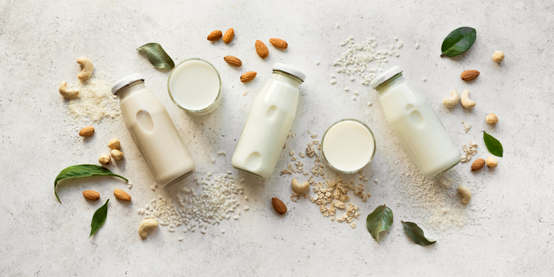 Plant-Based Milk Alternatives: What You Need to know about the Commonly Used Dietary Emulsifiers and their Impact on the Gut Microbiome