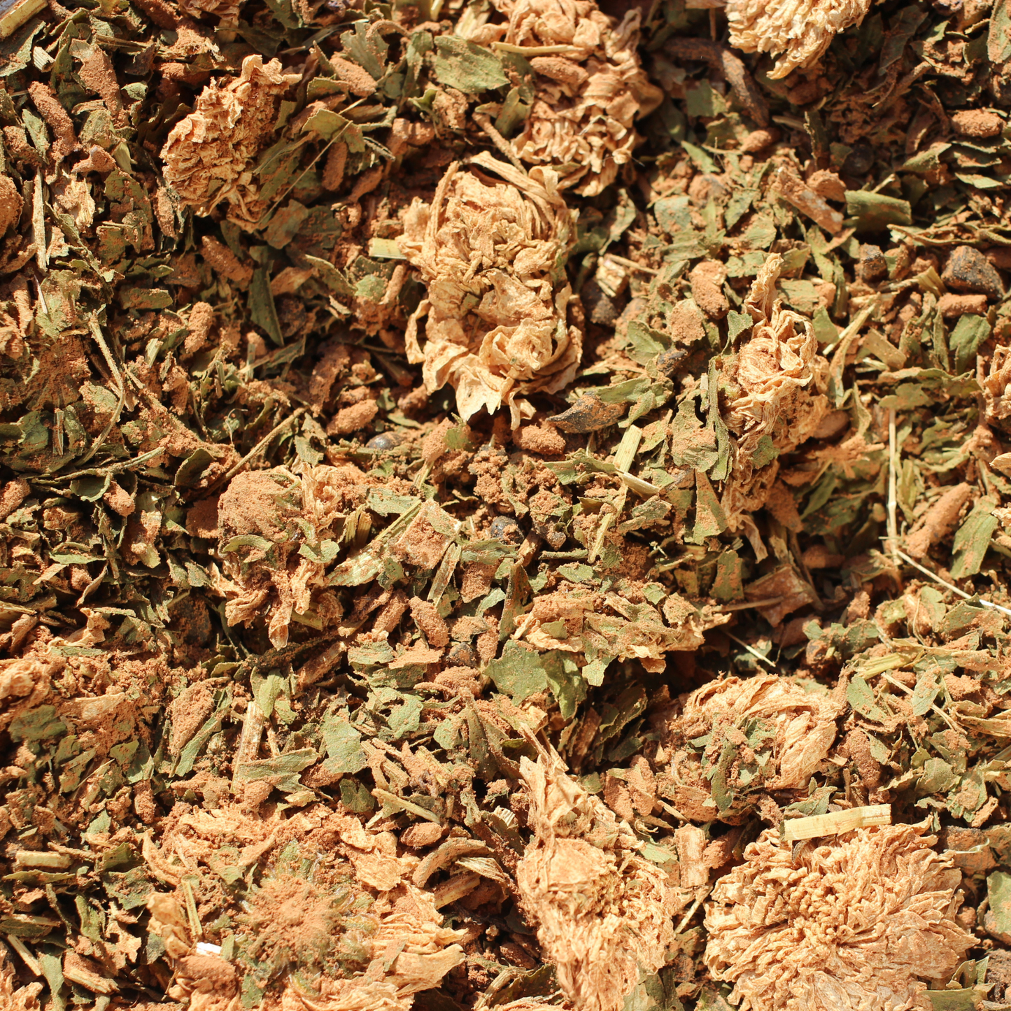 Cacao Comfort Tea